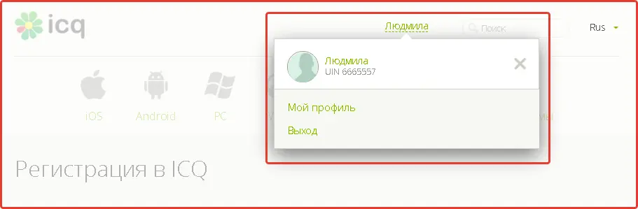картинка скриншот как узнать номер ICQ