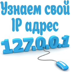 Find out your IP address on the Internet