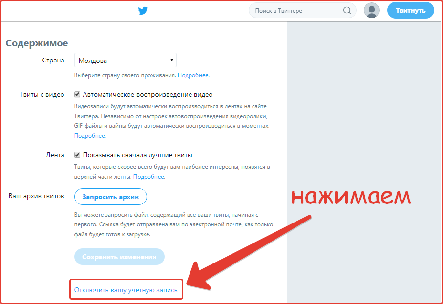 Удаляем аккаунт Твиттер, нажимем отключить запись