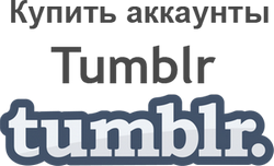 Buy Tumblr accounts