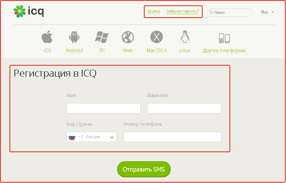 picture screenshot ICQ number